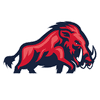 ifm Ravensburg Razorbacks