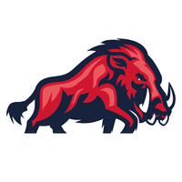 ifm Ravensburg Razorbacks