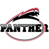 Düsseldorf Panther