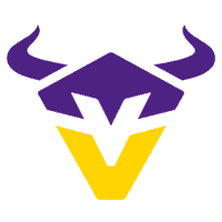 Vienna Vikings